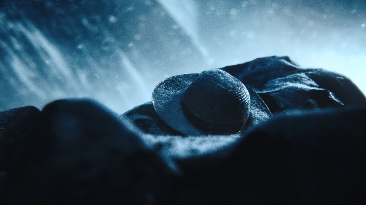 Kaizen Trailer